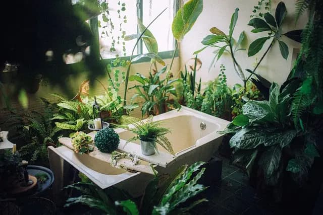 Comment Aménager un Espace de Relaxation Rapide chez Vous