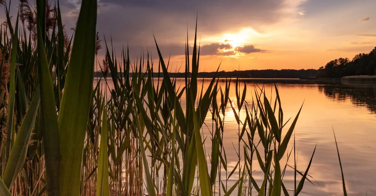 7 techniques de relaxation rapide pour un apaisement instantané