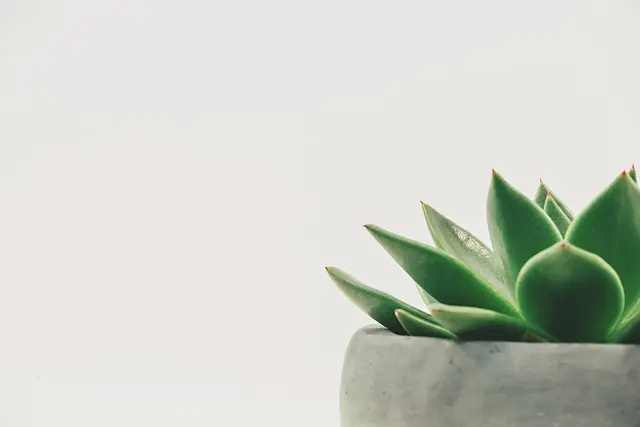 Les Erreurs à Éviter pour des Relaxations Rapides Efficaces