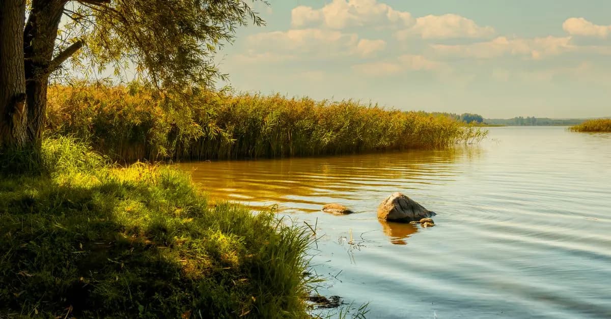 5 techniques de relaxation rapide pour des journées zen