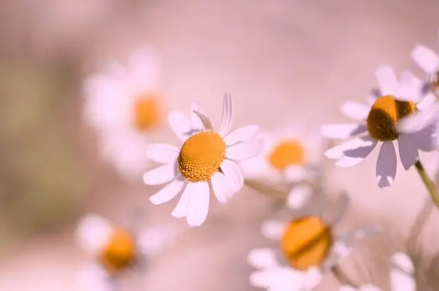 5 Activités Relaxantes à Pratiquer en Moins de 5 Minutes