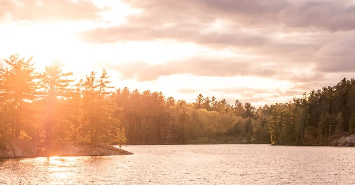 10 Techniques de Relaxation Rapide à Intégrer Dans Votre Quotidien