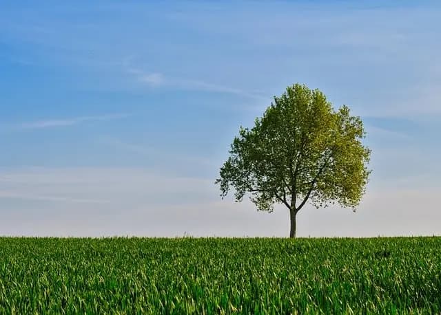 Comment Utiliser la Respiration Diaphragmatique pour une Relaxation Rapide