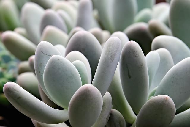 10 Astuces Pratiques pour des Relaxations Rapides Efficaces