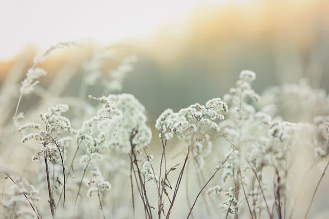 Les secrets des relaxations rapides : Techniques et astuces