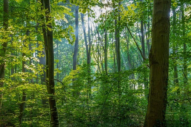 7 techniques de relaxation rapide pour votre bien-être quotidien